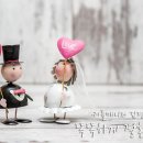 하나로결혼정보 이미지
