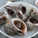 까사도라다 독채 풀빌라 이미지