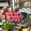 국원대로 | 충주 복숭아 농장 주말 체험 후기