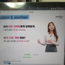 ANOTHER DOG | 시원스쿨진짜학습지_풀 패키지 D+160 후기 - other과 another / 부가의문문