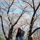 서운체육공원 (계양체육관) 이미지