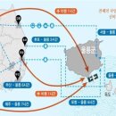 울릉에가면