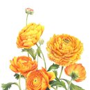 [주말]보테니컬 아트 이미지