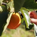 금정농장 이미지