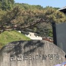 드라마촬영장 | [여행] 전라도 순천 당일치기 여행 후기 (드라마촬영장, 순천남국가정원)