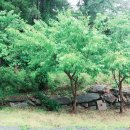 청평휴양림펜션 이미지