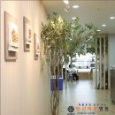 안산 마루병원 이미지