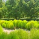 도시철도 화명역 3번 출구 이미지