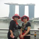 싱가폴 센토사섬, 머라이언 타워와 공원 관광을 하며-9 이미지