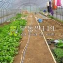 장암로 이미지