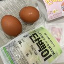 조스짐(cho's gym) | [10.19.24~10.23.24] 세상이 날 억까해도 다낭 (1)