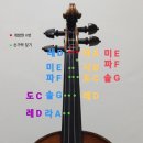 G선바이올린