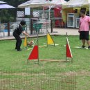 호서전문학교 이미지