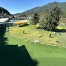 어서오시개냥 애견펜션 이미지