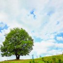 김해종합관광안내소 이미지