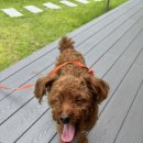 그룸 앤 먼치 이미지