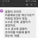 곰팡이 코리아 이용해보신분 계시나요? 이미지