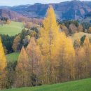 냉정역 4번출구 앞 | 부산 주례 냉정 맛집 알차고 맛있는 곳 추천