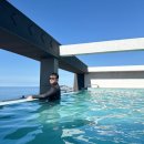 위고플러스 | [공지] 다이어트영양제 부작용없이 먹는 안전한 다이어트 위고굿낙산GLP-1