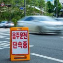 임대영행정사사무소 이미지
