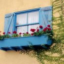 내가초등학교 이미지