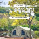 느티나무 캠핑장 | 경기도 캠핑장 ｜ 가을 우중캠핑 군포 느티나무야영장 이용 후기 및 예약 정보