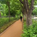 구의공원 이미지