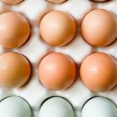 삶은 계란 영양성분 및 칼로리 이미지