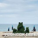 연곡해변 입구 이미지