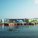 태극호좌대 이미지