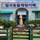 칠곡동물체험카페 이미지