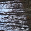 무성목욕탕 이미지