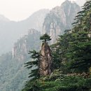 서해항공여행사