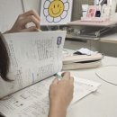 에이펙스 영어 정기평가 후기｜중등 난이도 생각보다 높네요
