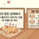 오디세이 동물심장내과 | 오디세이동물심장내과 김상민 원장님, 심장이 보내는 SOS <닥터 인사이트: 몸쓸 이야기> 방송 이야기