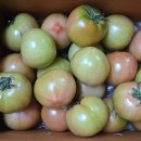 토마토 - 부평구 주부토로22번길 10-1 | 토마토