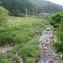 보릿고개마을 이미지