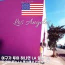 LA 하루 만에 끝내는 여행 코스 헐리우드 산타모니카 그리피스