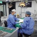 백제동물병원 이미지