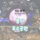 착하개 | 강아지동반) 창원 &#39;용지호수공원&#39; 나들이 추천/후기