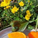 설문대하우스 이미지