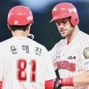 위즈덤
