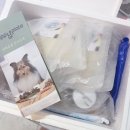 멈무 3월 이야기 / 좋은 건 함께 해요! 우리돈 우리산 퍼피 플레이트 공구 후기