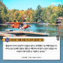 [캐나다단풍여행 1일여행 추천]&#39;파란여행&#39;의 무스코카+알곤퀸 1일 여행후기(2024.10.04)