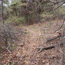 신점 선생 묘 이미지