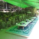 오동나무집 이미지