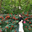 버스정류장 07-155 | [대전 가볼 만한 곳] 대전시립미술관 &#34;이것에 대하여&#34; 전시회 후기
