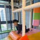 오션브릿지 키즈풀빌라 에이스 이미지