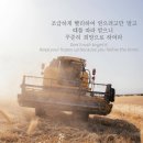 성자 이미지