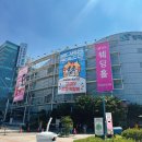 2026 궁디팡팡 캣페스타 후기 | 방문 전 필수 정보 총정리 + 한눈에 요약